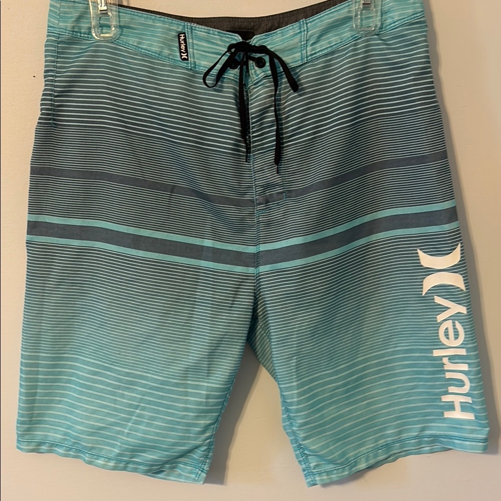 Hurley Men's Aqua Striped Board Shorts